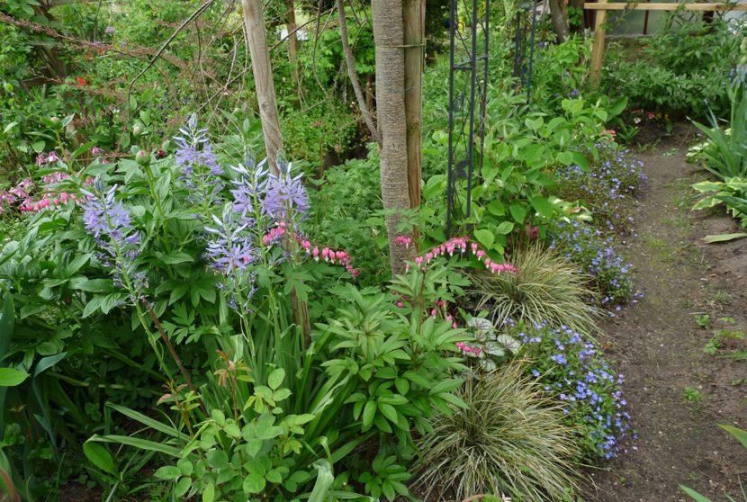  - 2021 - 01 - Primavara