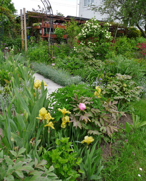  - 2021 - 01 - Primavara