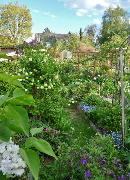  - 2021 - 01 - Primavara