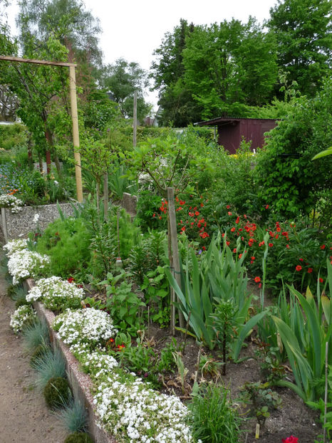  - 2021 - 01 - Primavara