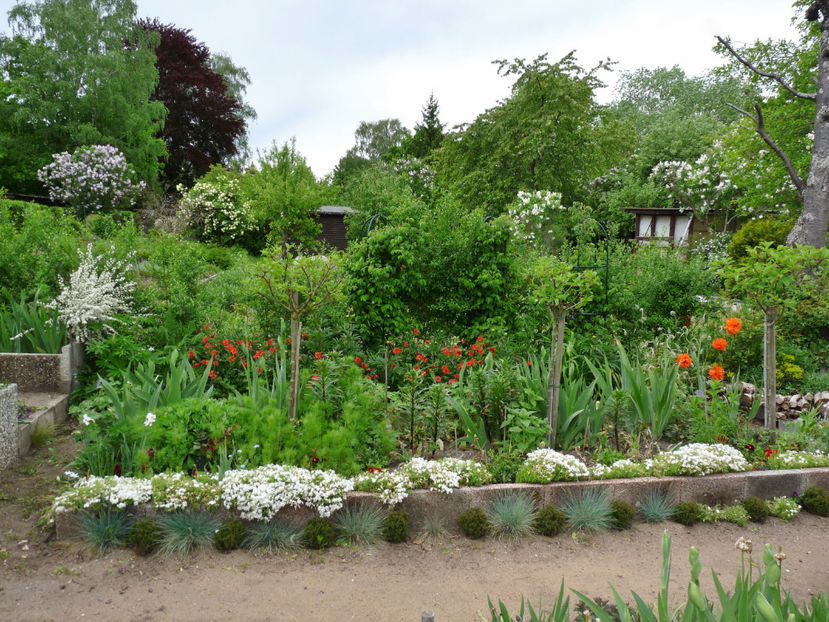  - 2021 - 01 - Primavara