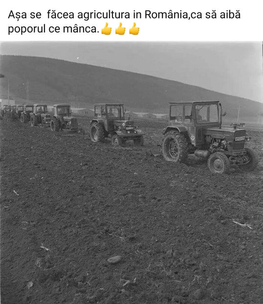  - Simboluri