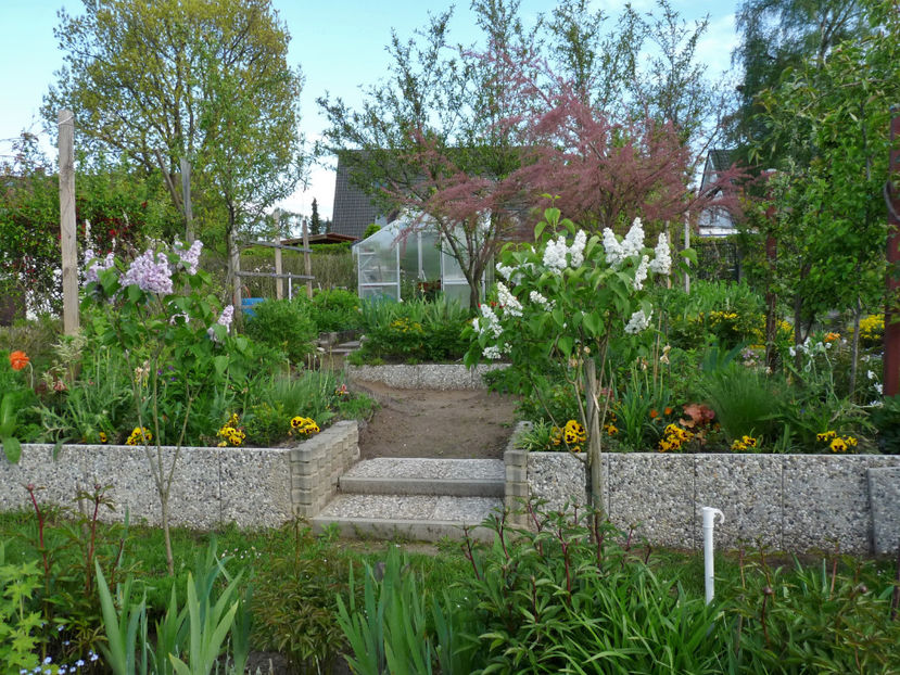  - 2021 - 01 - Primavara