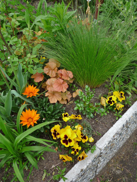  - 2021 - 01 - Primavara