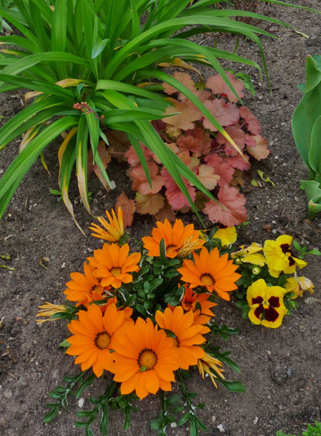  - 2021 - 01 - Primavara