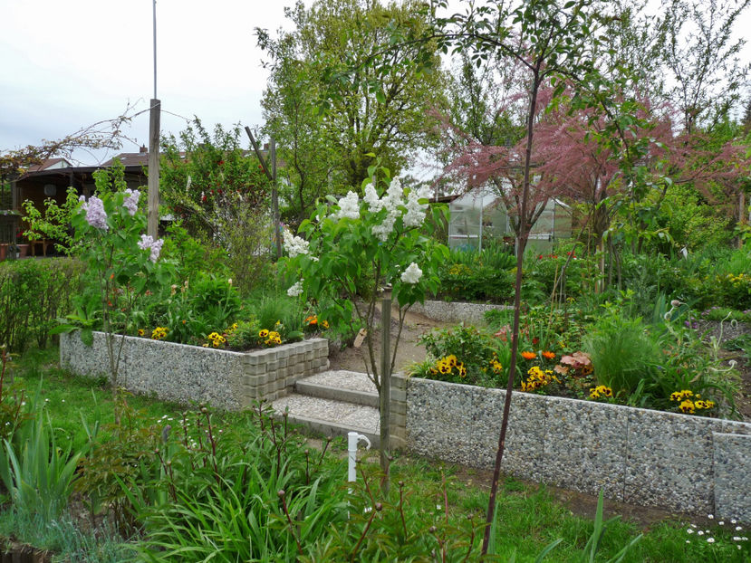  - 2021 - 01 - Primavara