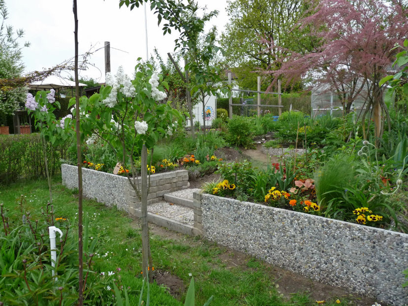  - 2021 - 01 - Primavara