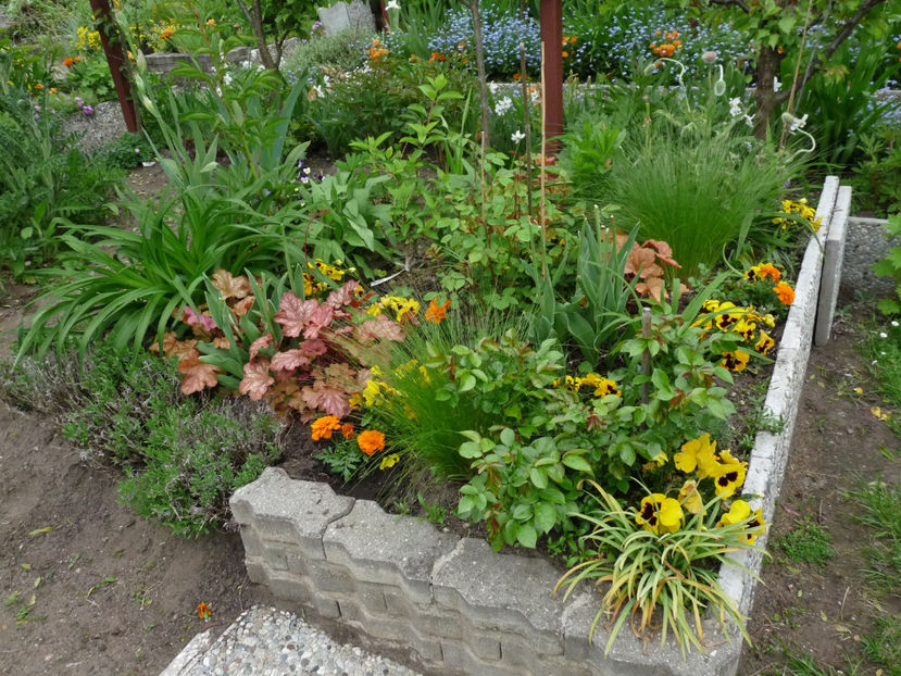  - 2021 - 01 - Primavara