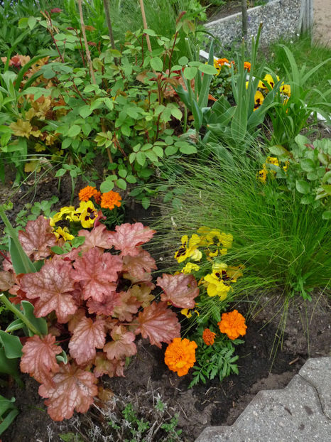  - 2021 - 01 - Primavara