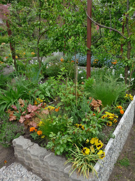  - 2021 - 01 - Primavara