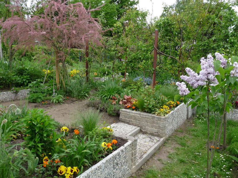  - 2021 - 01 - Primavara