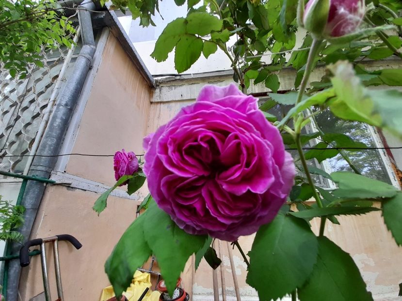  - Sfarsit de Mai