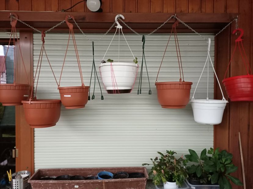 De inspirație ❤️ - 1 Anunț Anunț