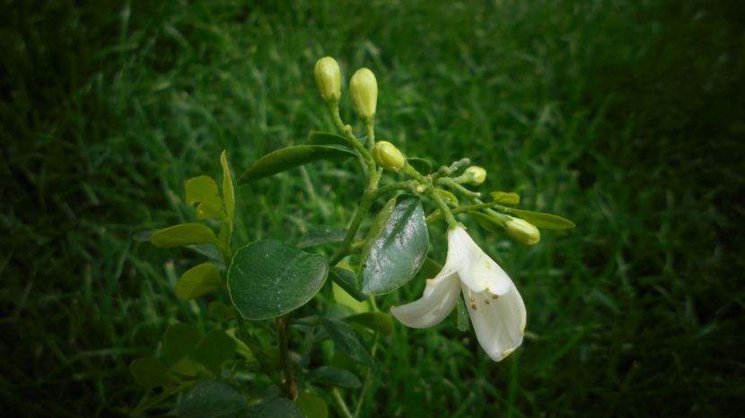 Minunata,multumiri! - Sclipiri 2021