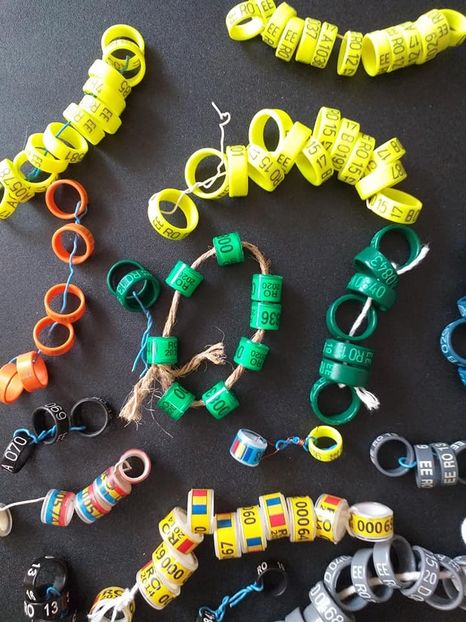  - 5 - De vânzare inele de colecție