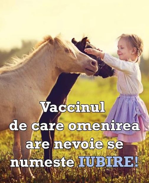  - Divertisment 4