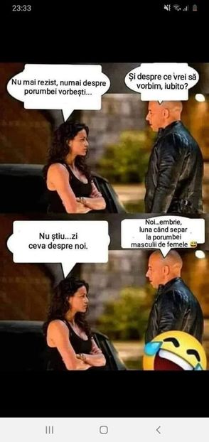  - Divertisment 4
