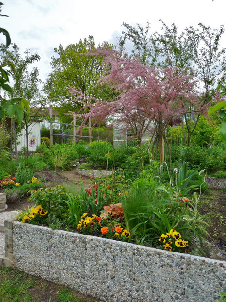  - 2021 - 01 - Primavara