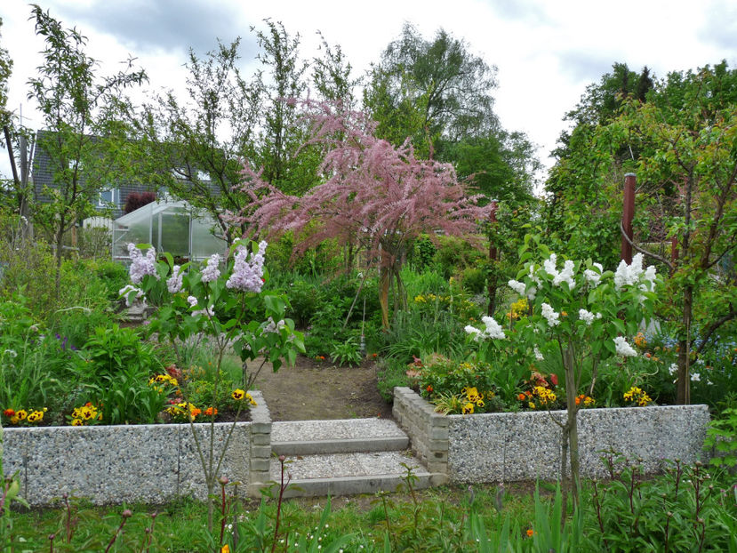  - 2021 - 01 - Primavara