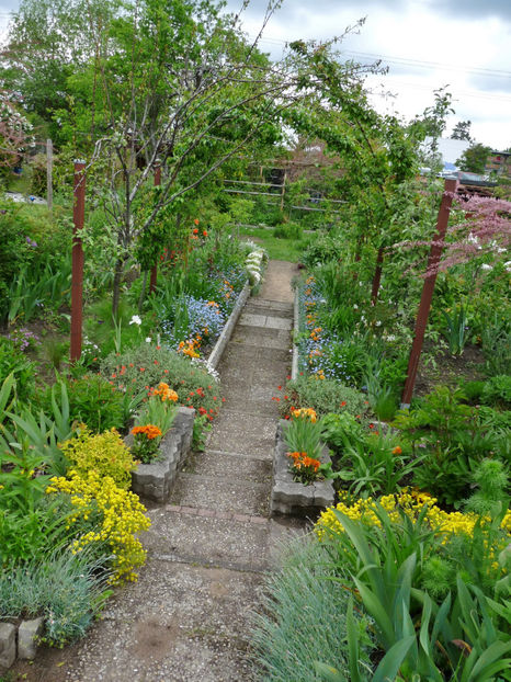  - 2021 - 01 - Primavara