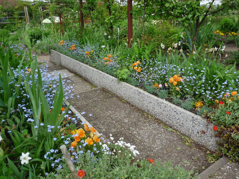  - 2021 - 01 - Primavara