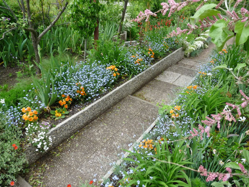  - 2021 - 01 - Primavara