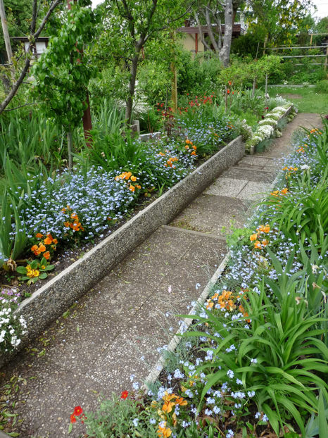  - 2021 - 01 - Primavara