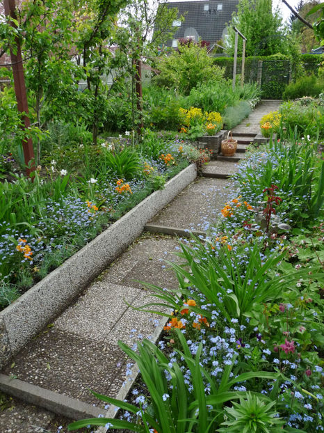  - 2021 - 01 - Primavara