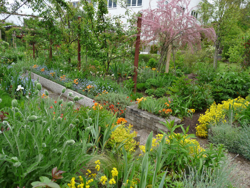  - 2021 - 01 - Primavara