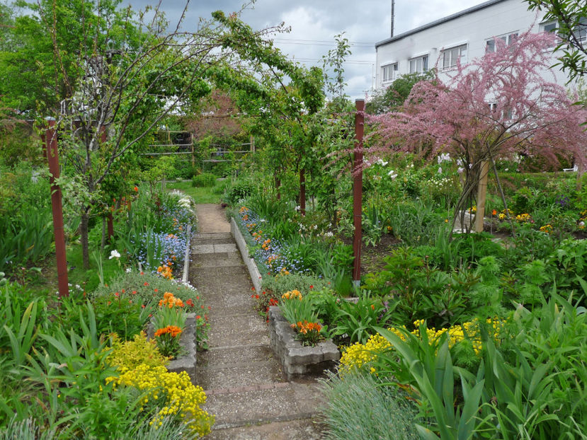  - 2021 - 01 - Primavara