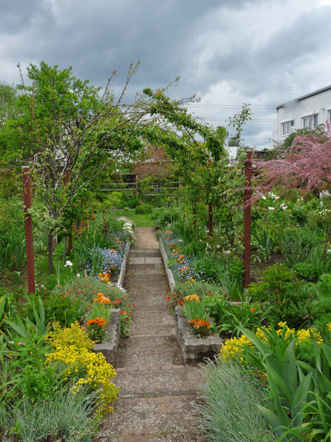  - 2021 - 01 - Primavara