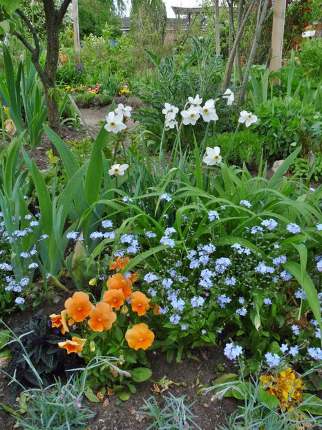  - 2021 - 01 - Primavara