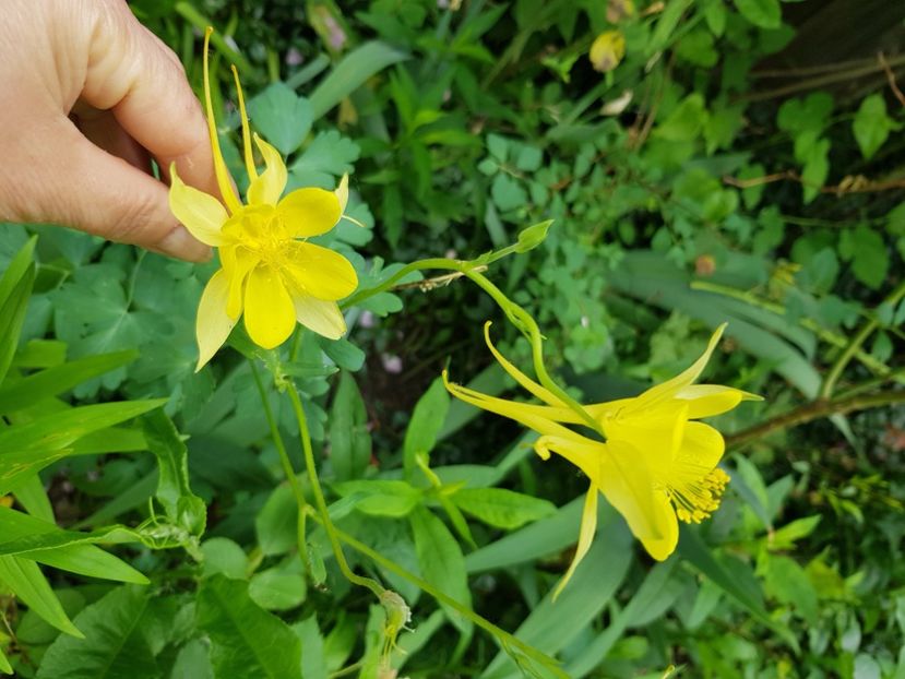  - Caldaruse 2020-2023