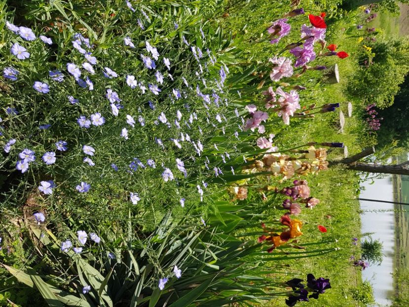  - Vara la baltă 2021