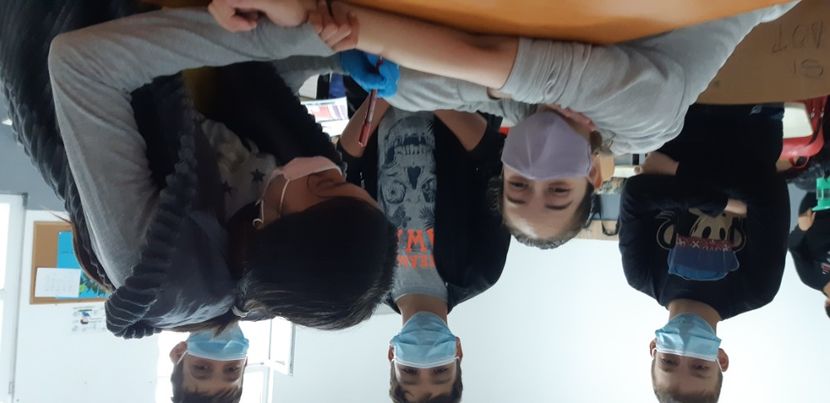  - 2021 Biologie - primul ajutor