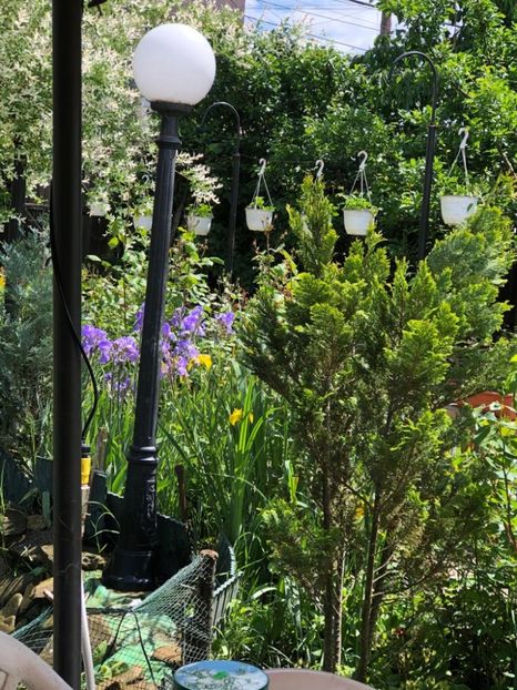 WhatsApp Image 2021-05-29 at 13.42.28 (1) - 04 Roman 29 05 2021