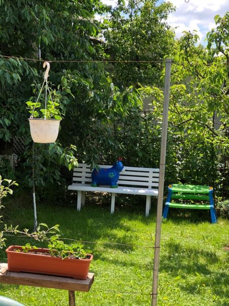 WhatsApp Image 2021-05-29 at 13.42.28 (3) - 04 Roman 29 05 2021