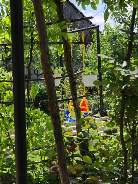 WhatsApp Image 2021-05-29 at 13.42.28 (4) - 04 Roman 29 05 2021