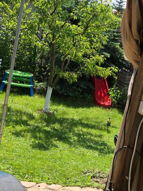 WhatsApp Image 2021-05-29 at 13.42.28 (5) - 04 Roman 29 05 2021