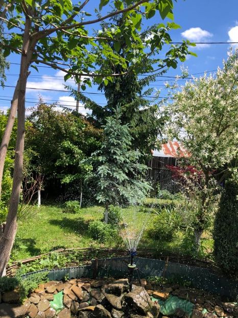 WhatsApp Image 2021-05-29 at 13.42.28 (9) - 04 Roman 29 05 2021