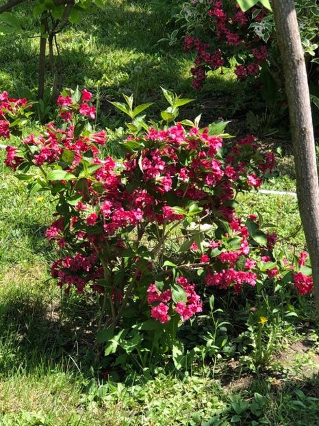 WhatsApp Image 2021-05-29 at 13.42.28 (13) - 04 Roman 29 05 2021