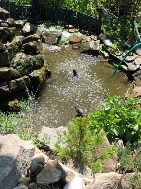 WhatsApp Image 2021-05-29 at 13.42.28 (17) - 04 Roman 29 05 2021