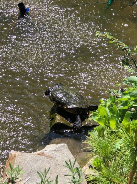 WhatsApp Image 2021-05-29 at 13.42.28 (18) - 04 Roman 29 05 2021