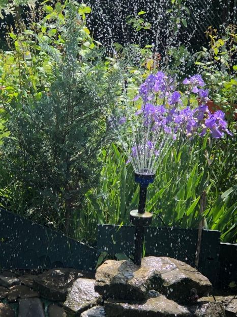 WhatsApp Image 2021-05-29 at 13.42.28 (19) - 04 Roman 29 05 2021