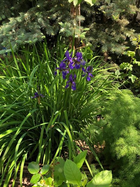 WhatsApp Image 2021-05-29 at 13.43.01 (2) - 04 Roman 29 05 2021