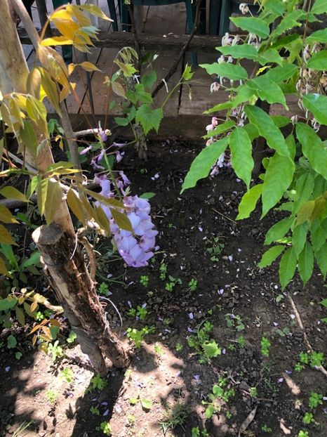 WhatsApp Image 2021-05-29 at 13.43.01 - 04 Roman 29 05 2021