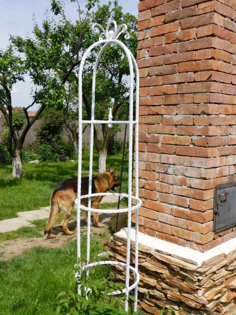 Suport Maya -alb - Suporturi pentru plante