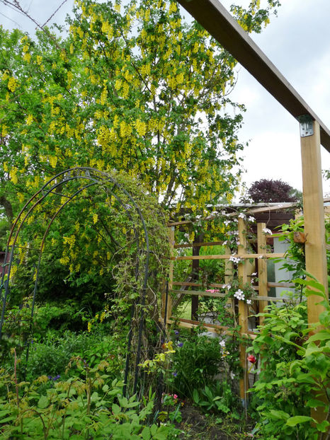  - 2021 - 01 - Primavara