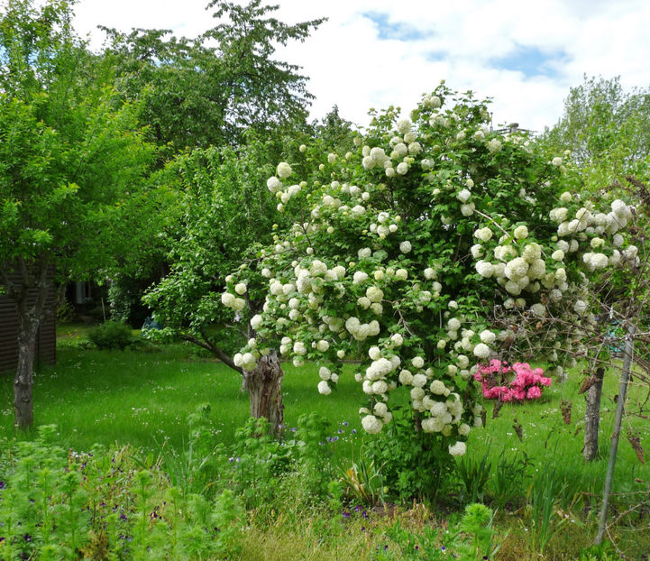  - 2021 - 01 - Primavara