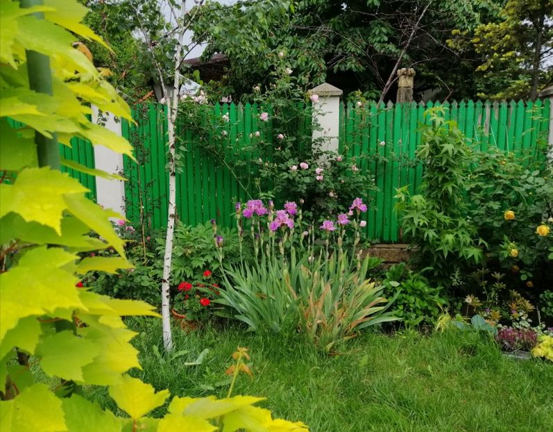  - 2021 feb martie aprilie mai